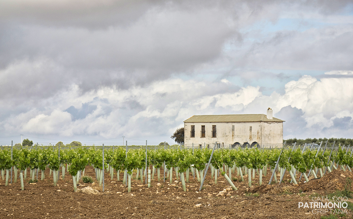 Casa de Treviño II