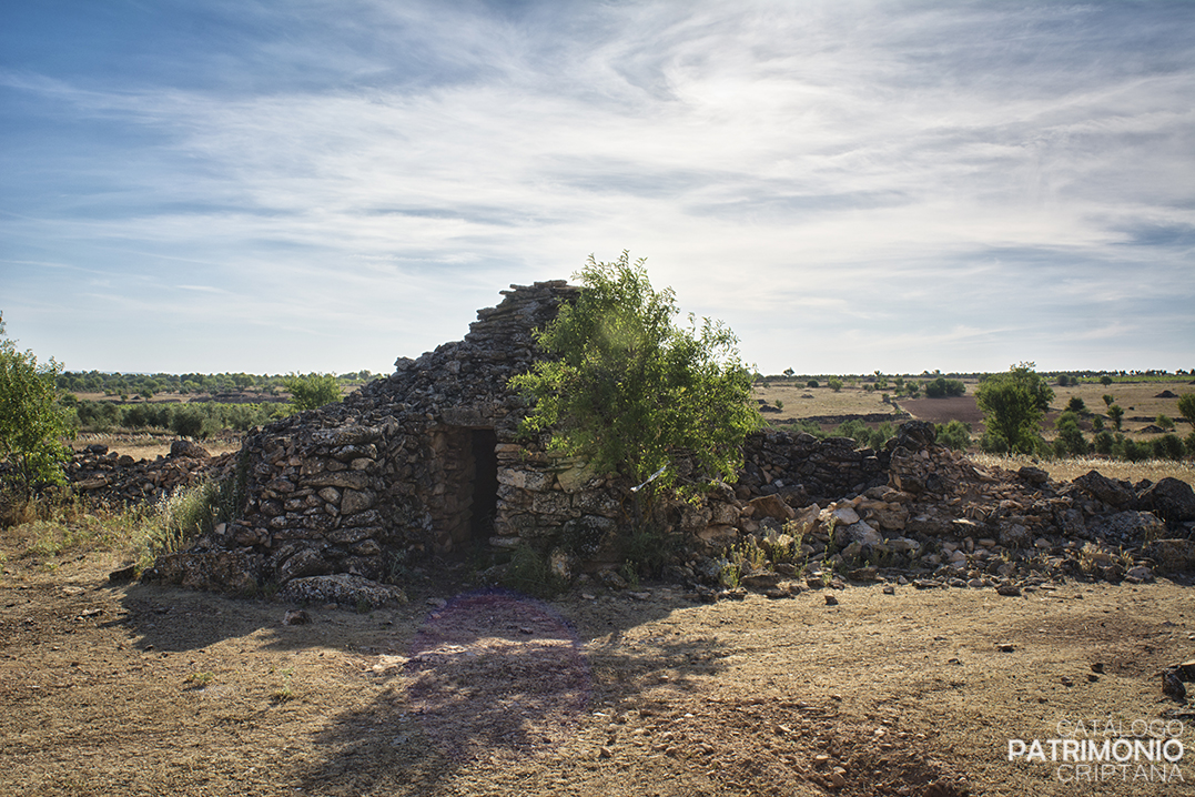 Chozo Coronatri