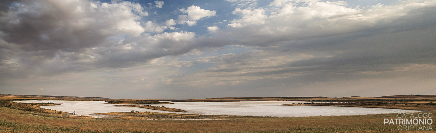 Laguna de Salicor