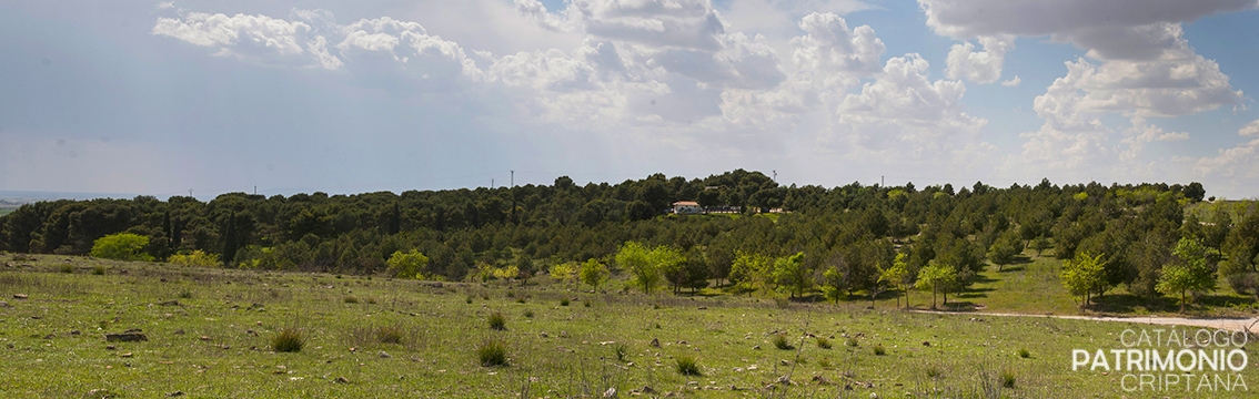 Pinar de San Isidro